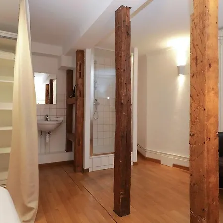 Colmarappart Haussmann Apartment *