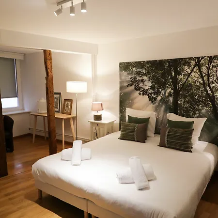 Colmarappart Haussmann Apartment Colmar